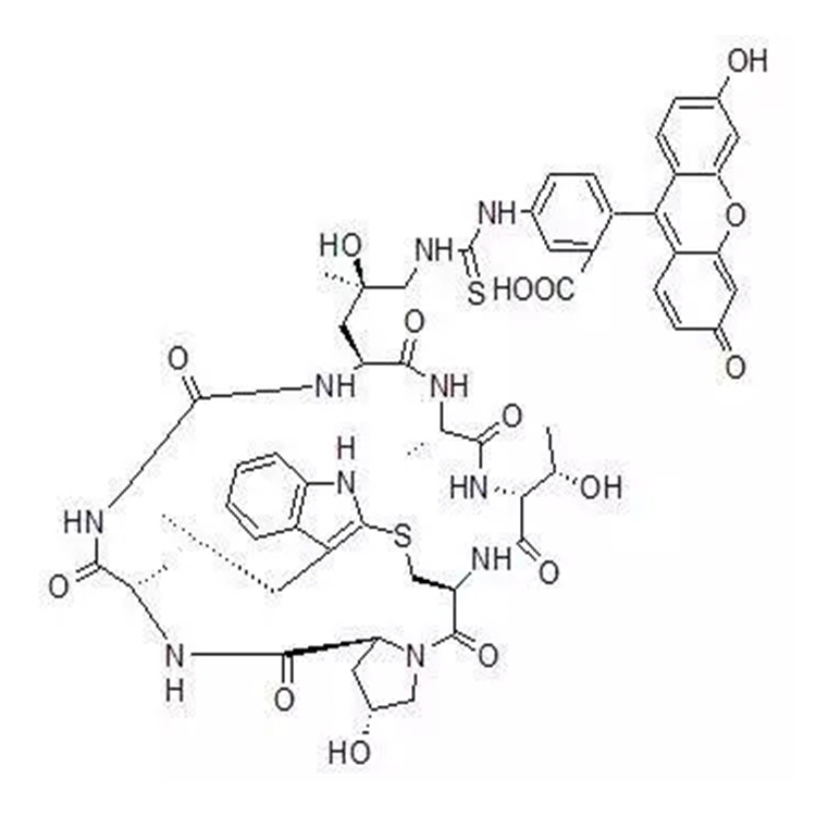FITC-Phalloidin，FITC标记鬼笔环肽